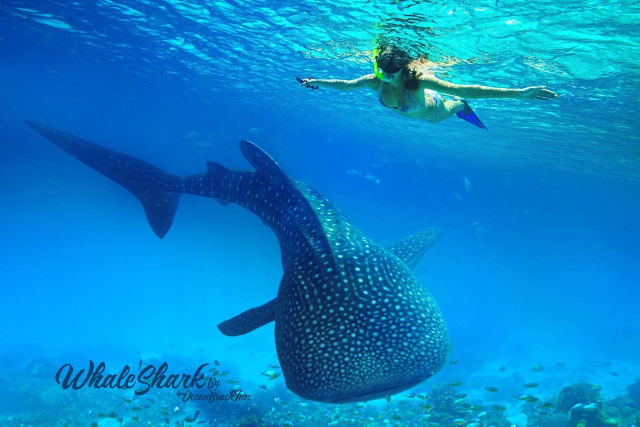 ホテルOcean Beach Maldive Maldives エクステリア 写真