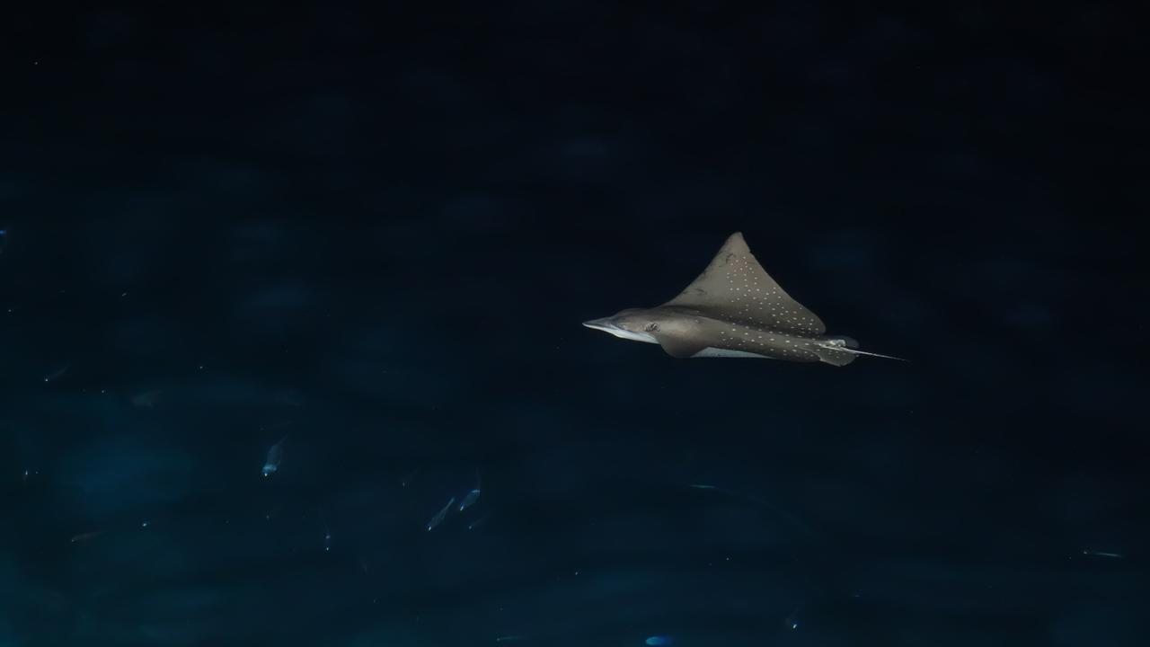 ホテルOcean Beach Maldive Maldives エクステリア 写真